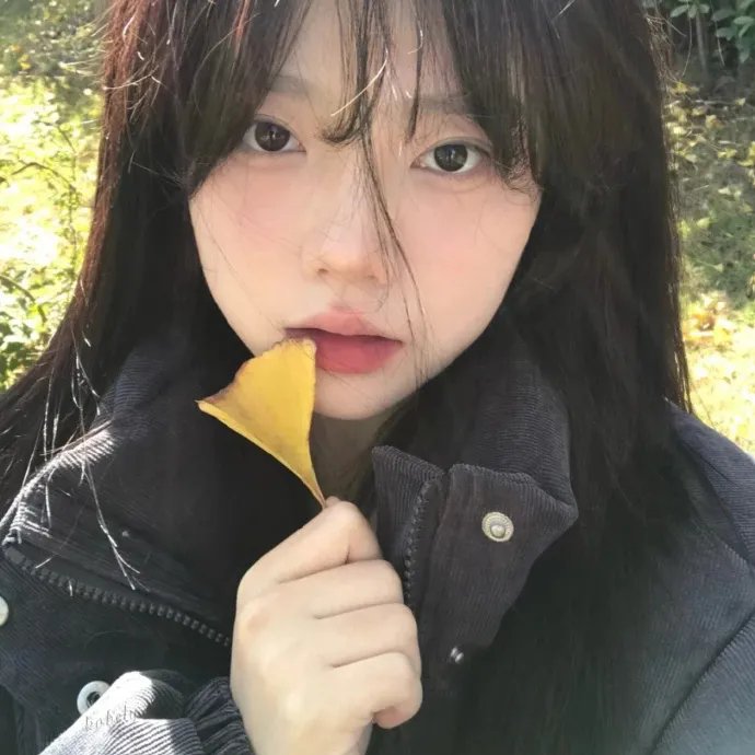 左右封面